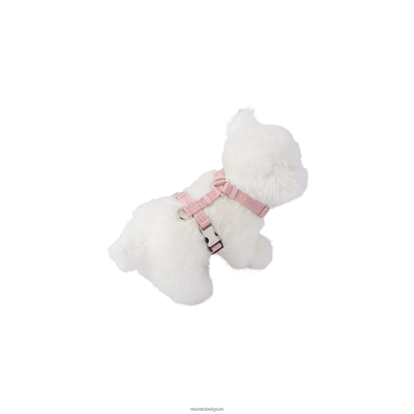 Miu Miu albast rozegeweven tape hondenharnas N8F6L1103 accessoires