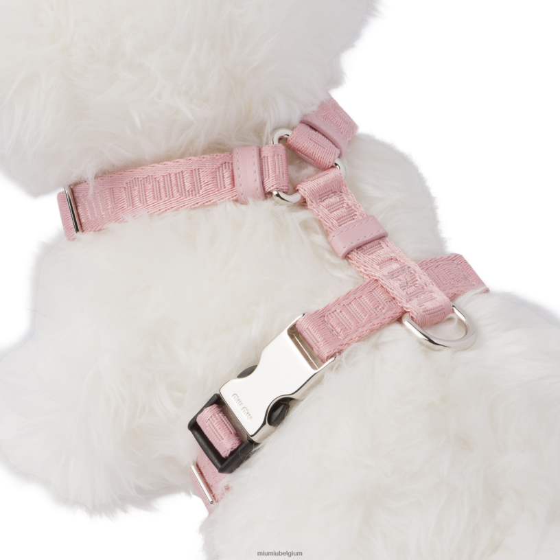 Miu Miu albast rozegeweven tape hondenharnas N8F6L1103 accessoires